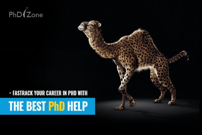 PhD Research Help