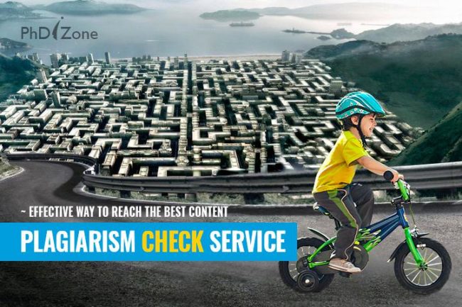 Phdizone plagiarism check service