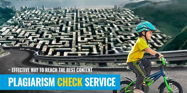 Phdizone plagiarism check service