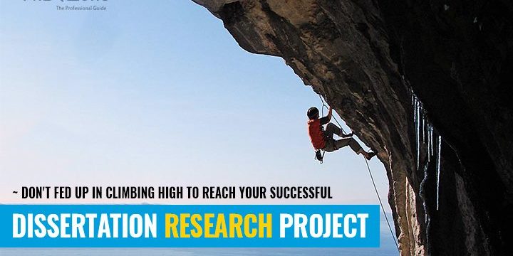 dissertation research project