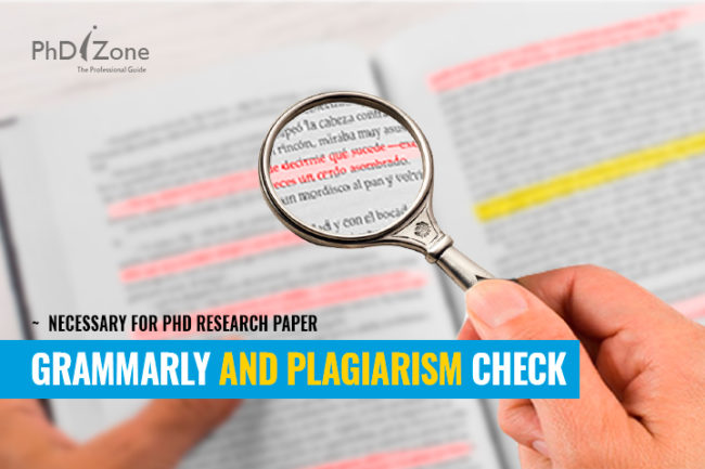 grammarly and plagiarism check