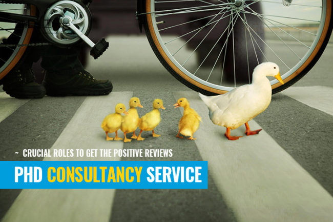 PhD consultancy
