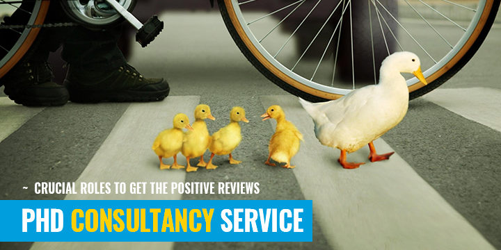 PhD consultancy PhD consultancy