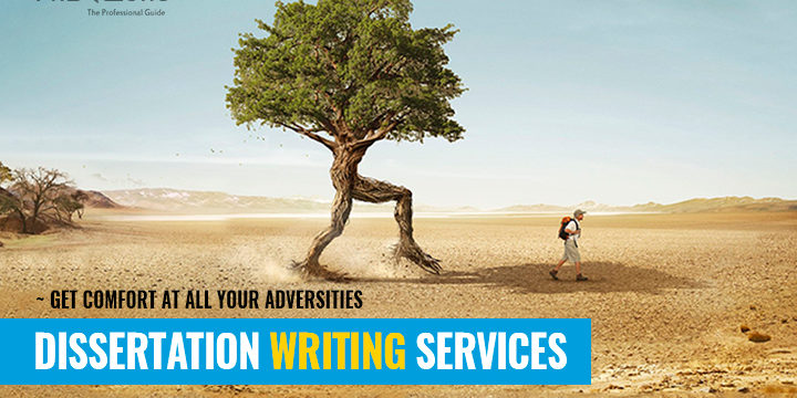 Dissertation consultation service correction