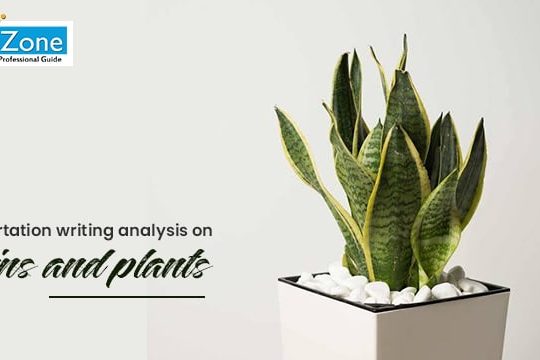 Research About Plants
