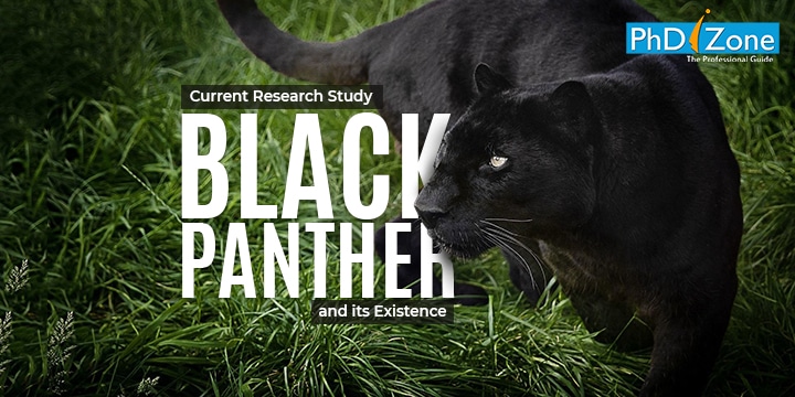 Black Panther Research