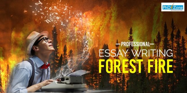 professional custom writing services