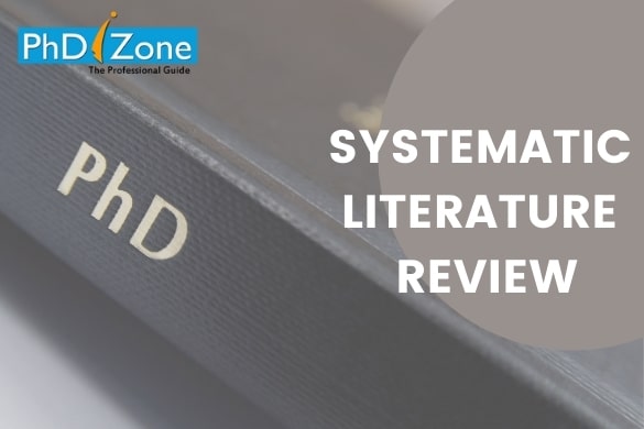 systematic literature review